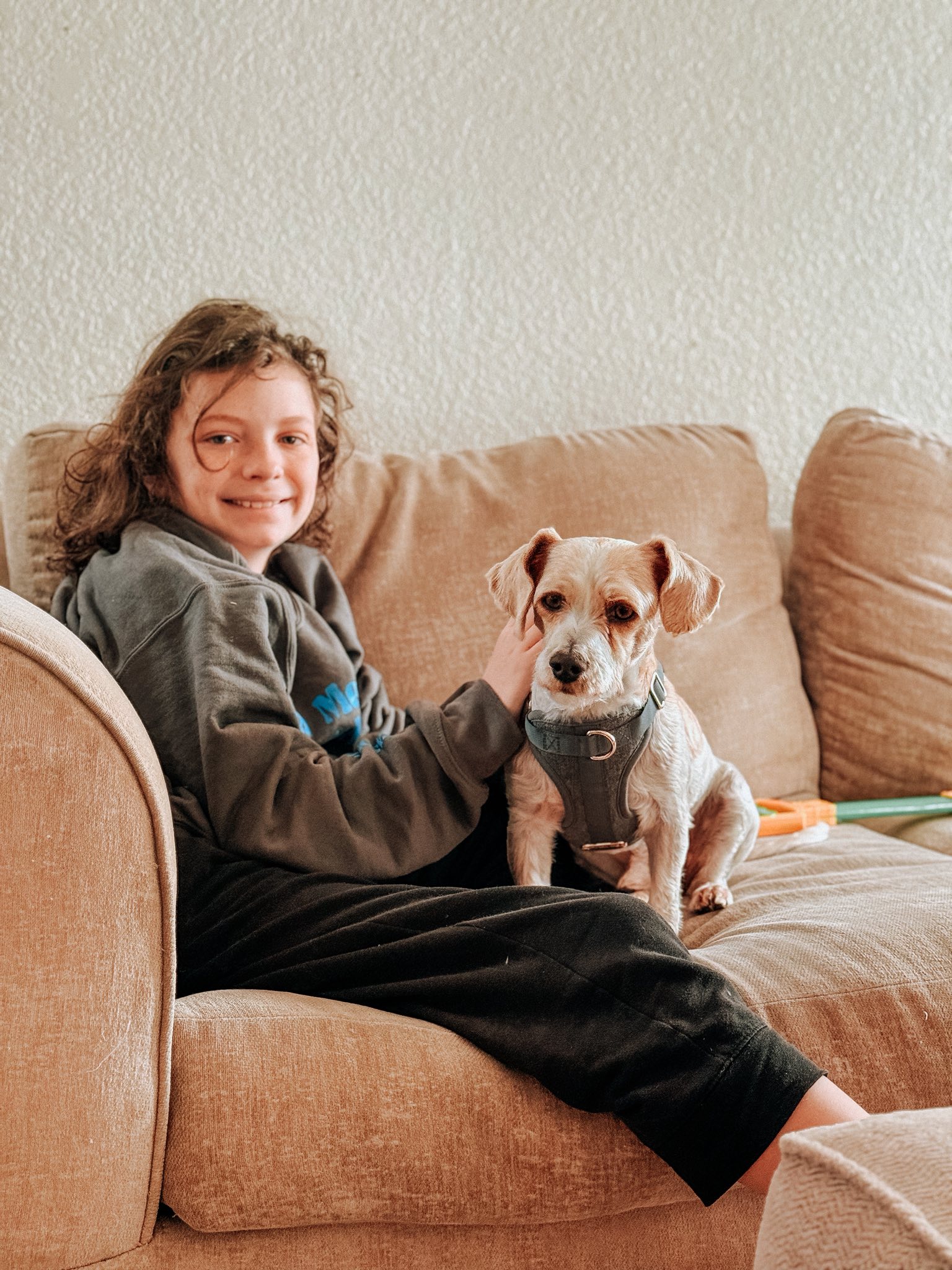 Pet Chores for Kids: Age-By-Age List of Responsibilities